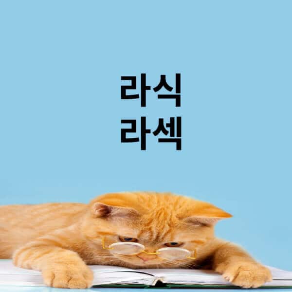 라식-라섹-차이-가격-비용-부작용-회복기간-후회하는-이유
